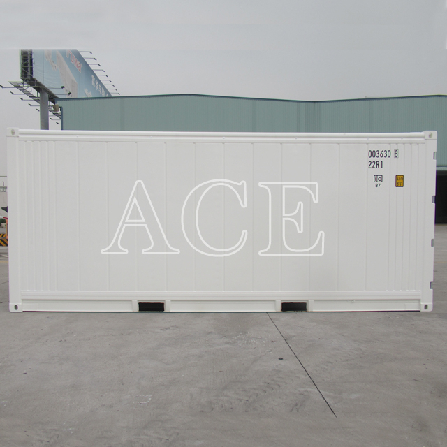 Seaworthy Refrigerator 20ft Reefer Container for Sale