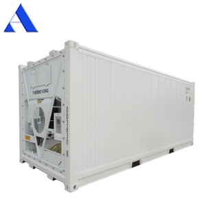 Seaworthy Refrigerator 20ft Reefer Container for Sale