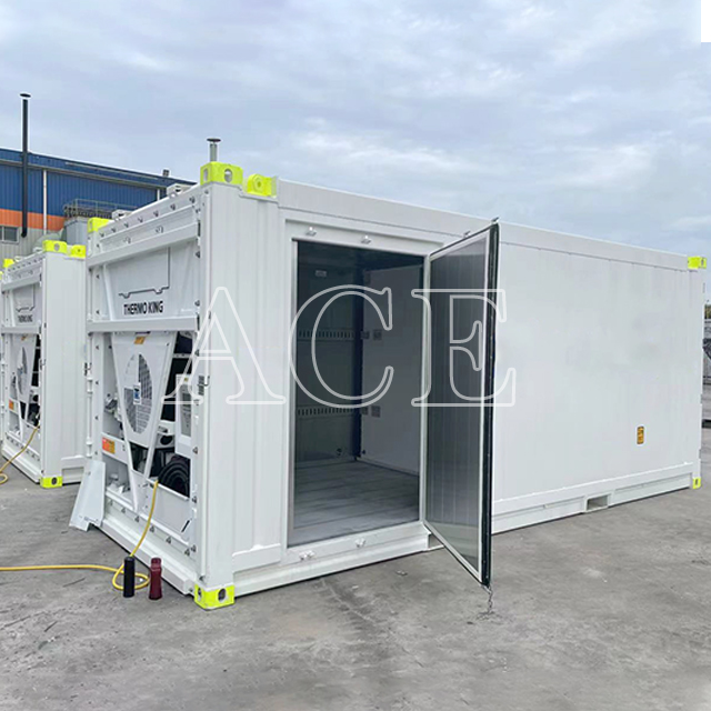 Double Room Dual Temperature DNV 2.7- 1 20ft Offshore Reefer Containers